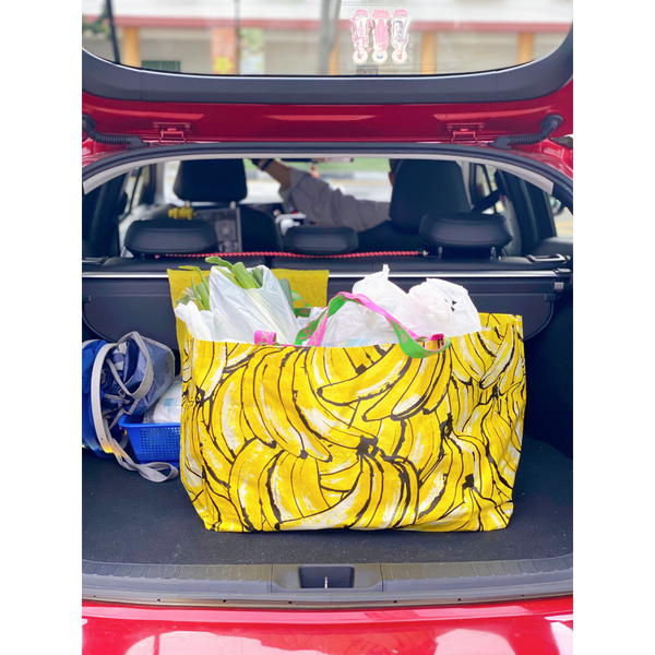 Waterproof Carrier Bag (2 designs)